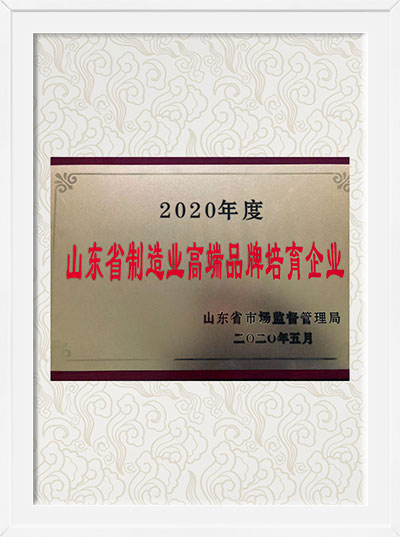 2020年山东省制造业高端品牌培育企业